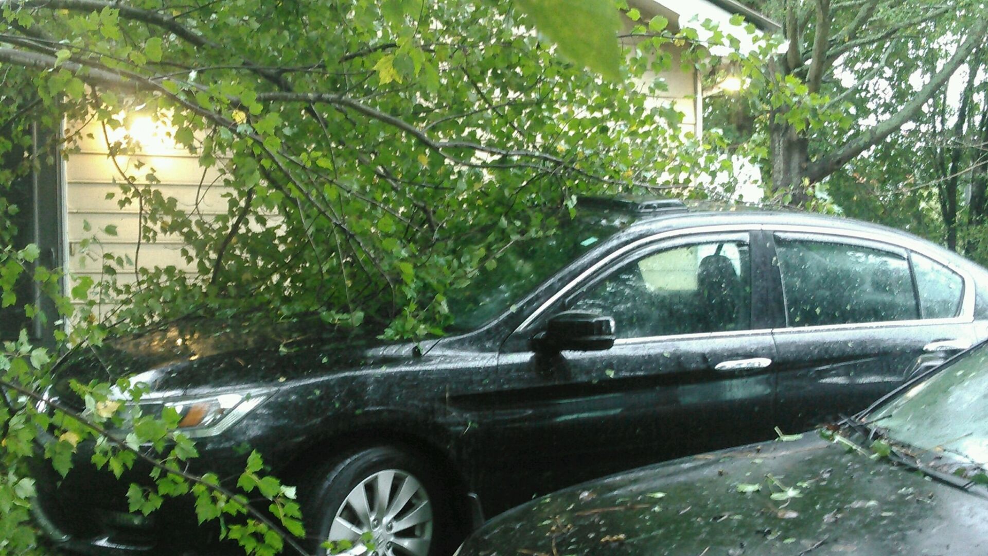 Tropical_Storm_Zeta.jpg